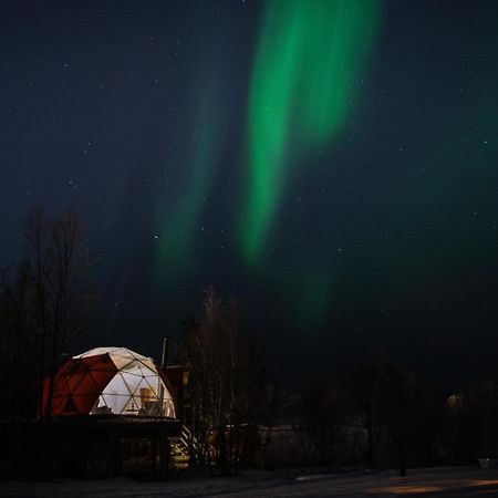 Aera - Glass Cabins Tromsø Eksteriør bilde