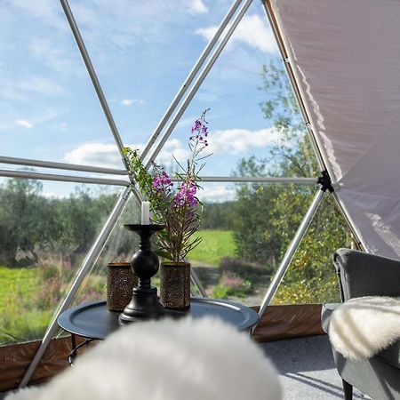 Aera - Glass Cabins Tromsø Eksteriør bilde